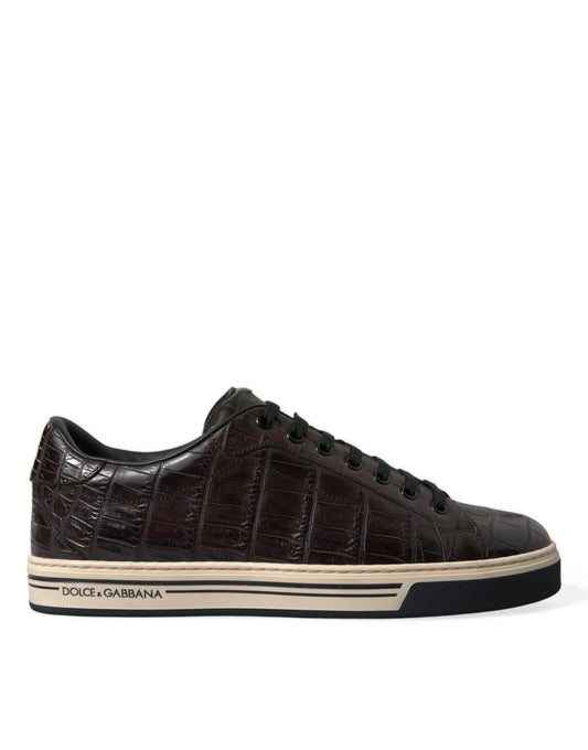 Zapatillas bajas elegantes de piel exótica de Dolce & Gabbana