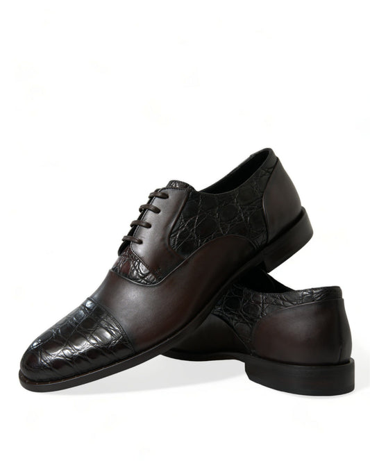 Zapatos de vestir formales Derby elegantes de color marrón de Dolce & Gabbana