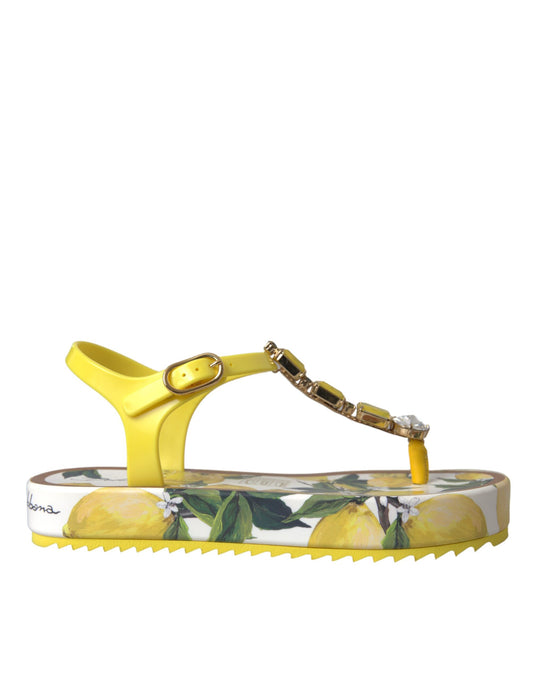 Sandalias planas y zapatos de playa con limón amarillo de Dolce & Gabbana