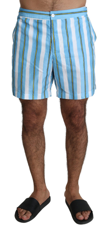 Dolce & Gabbana Striped Elegance Swim Shorts