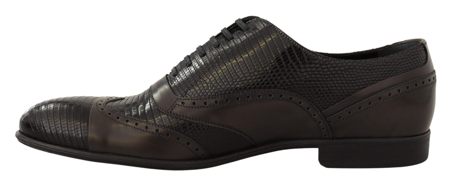 Elegantes zapatos oxford de piel de lagarto marrón de Dolce &amp; Gabbana