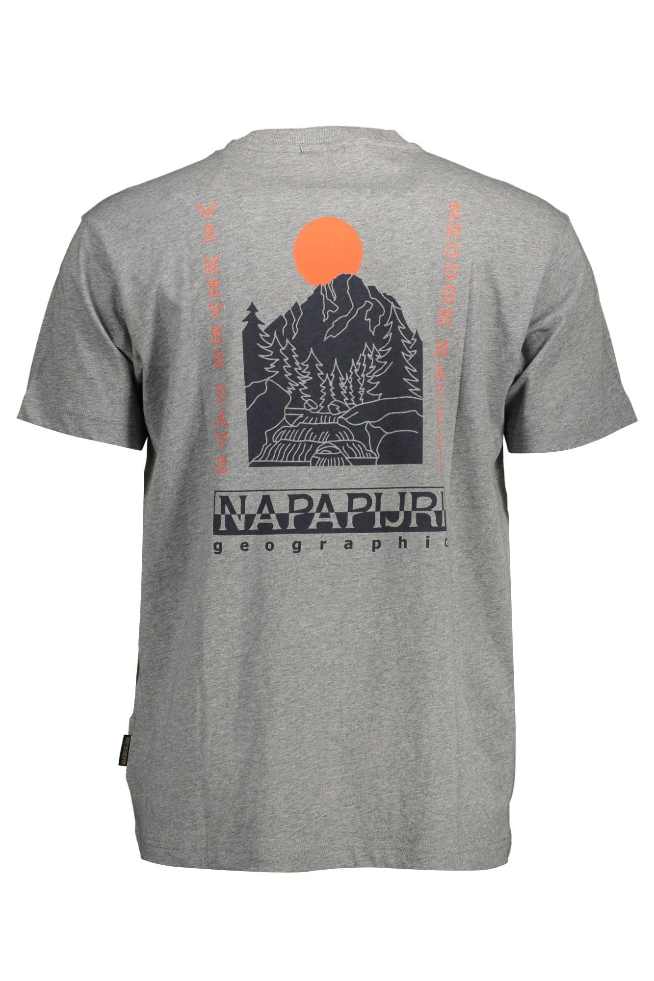 Camiseta con cuello redondo y logotipo de Napapijri Chic en gris