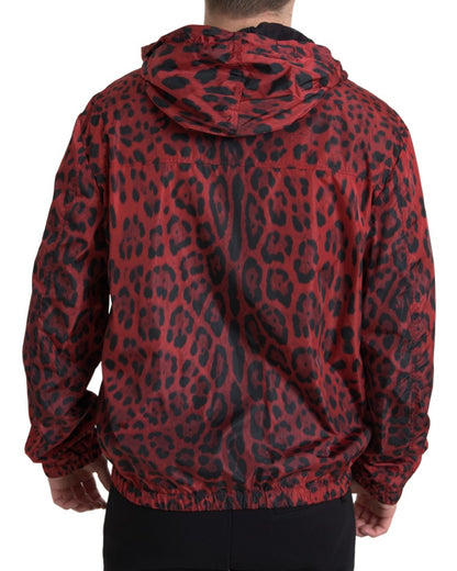 Cazadora bomber con capucha y estampado de leopardo rojo de Dolce &amp; Gabbana