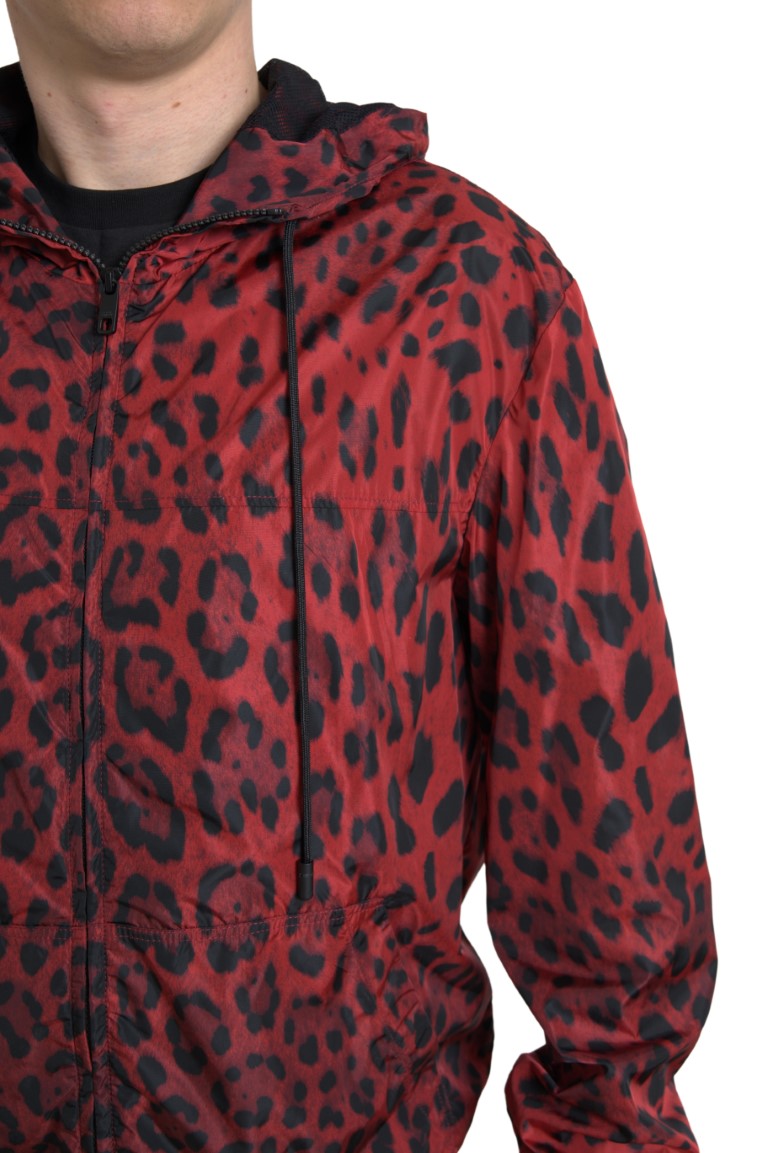 Cazadora bomber con capucha y estampado de leopardo rojo de Dolce &amp; Gabbana