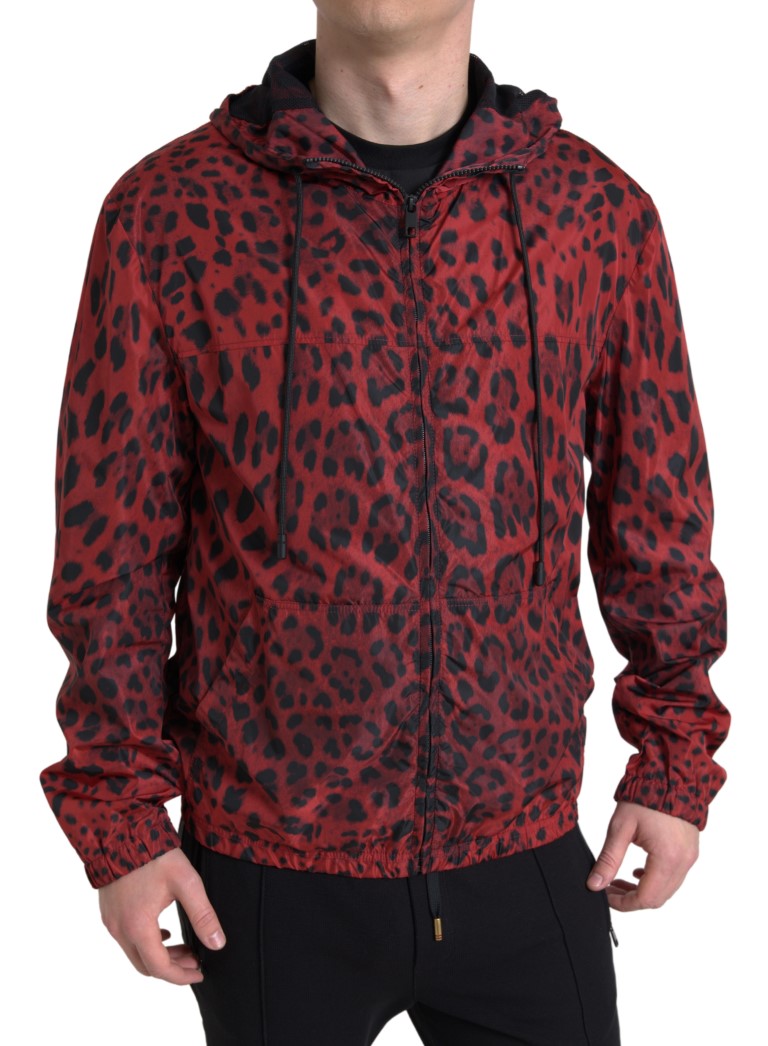 Cazadora bomber con capucha y estampado de leopardo rojo de Dolce &amp; Gabbana