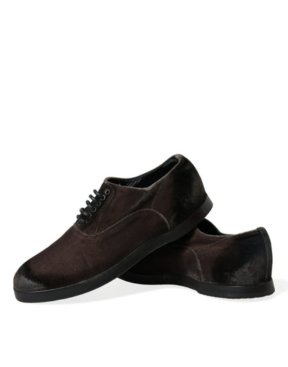 Elegantes zapatos Oxford de terciopelo marrón con cordones de Dolce &amp; Gabbana
