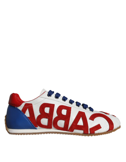 Zapatillas deportivas casuales con logotipo de cuero multicolor de Dolce &amp; Gabbana