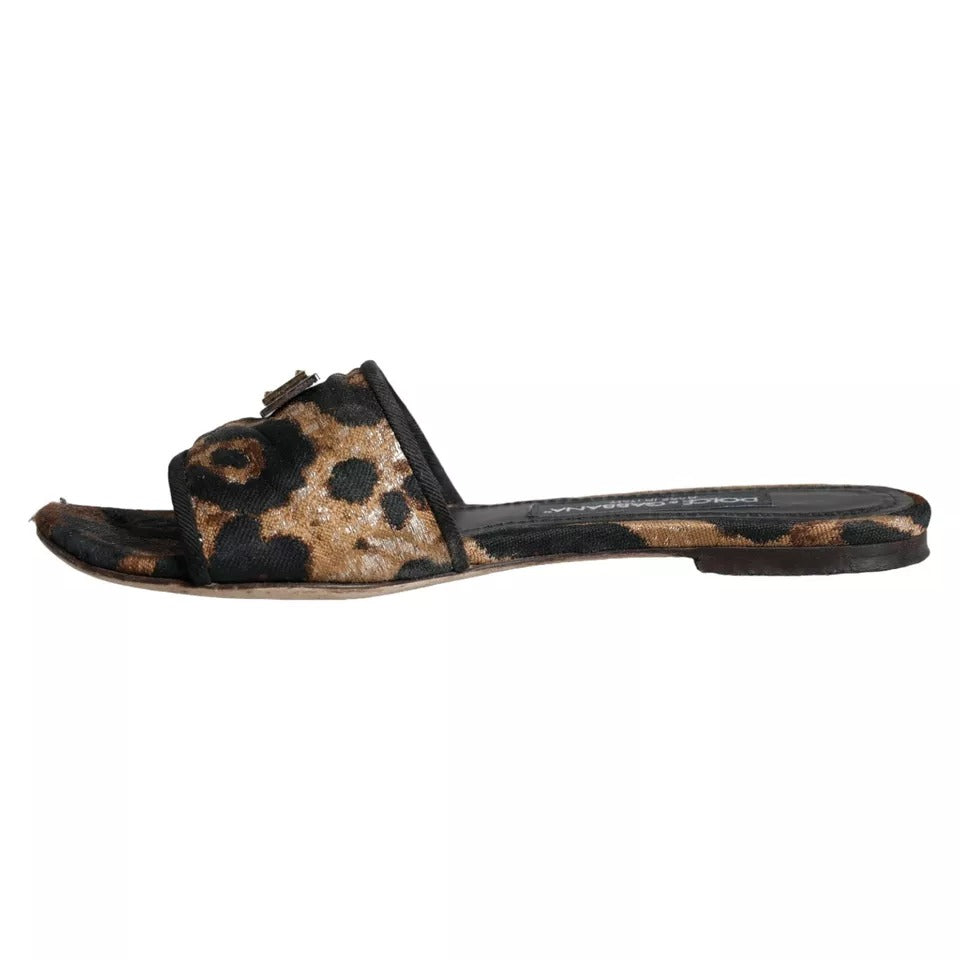 Sandalias planas con logo de leopardo en marrón de Dolce &amp; Gabbana