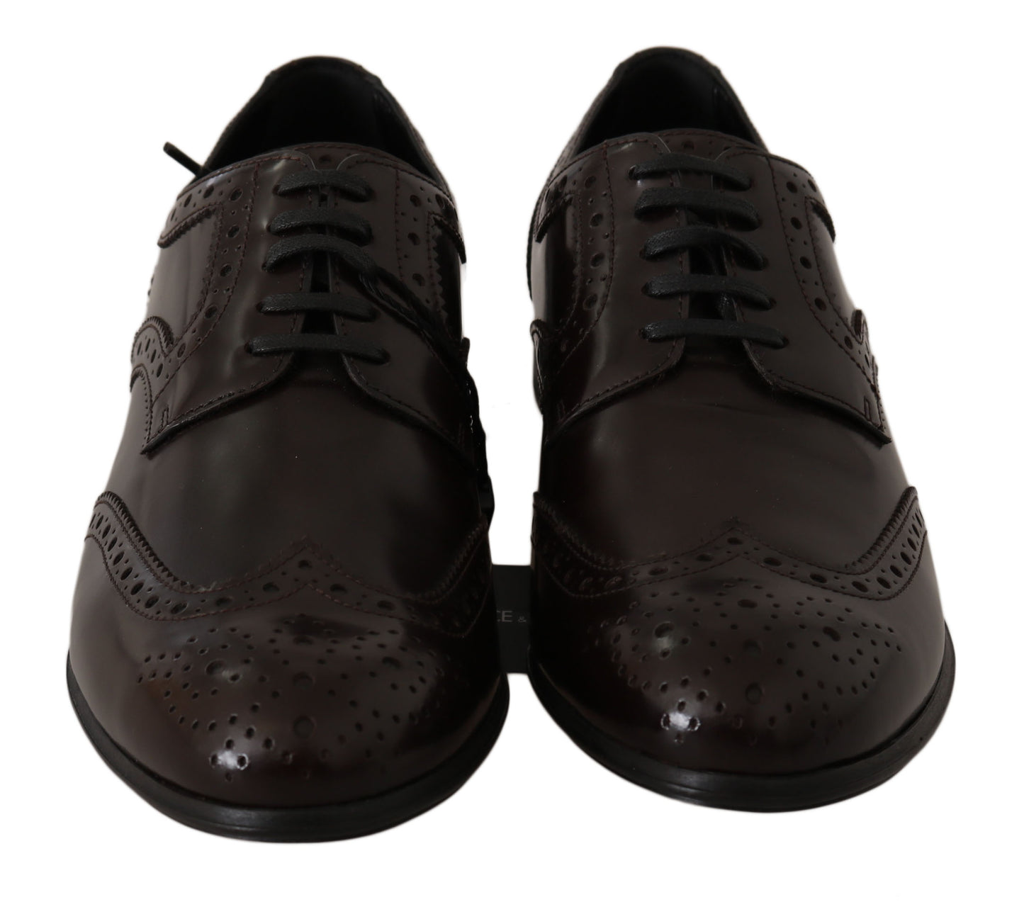 Elegantes zapatos Oxford de piel marrón de Dolce &amp; Gabbana